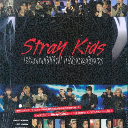 Stray Kids Photo-Report [Beautiful Monsters]