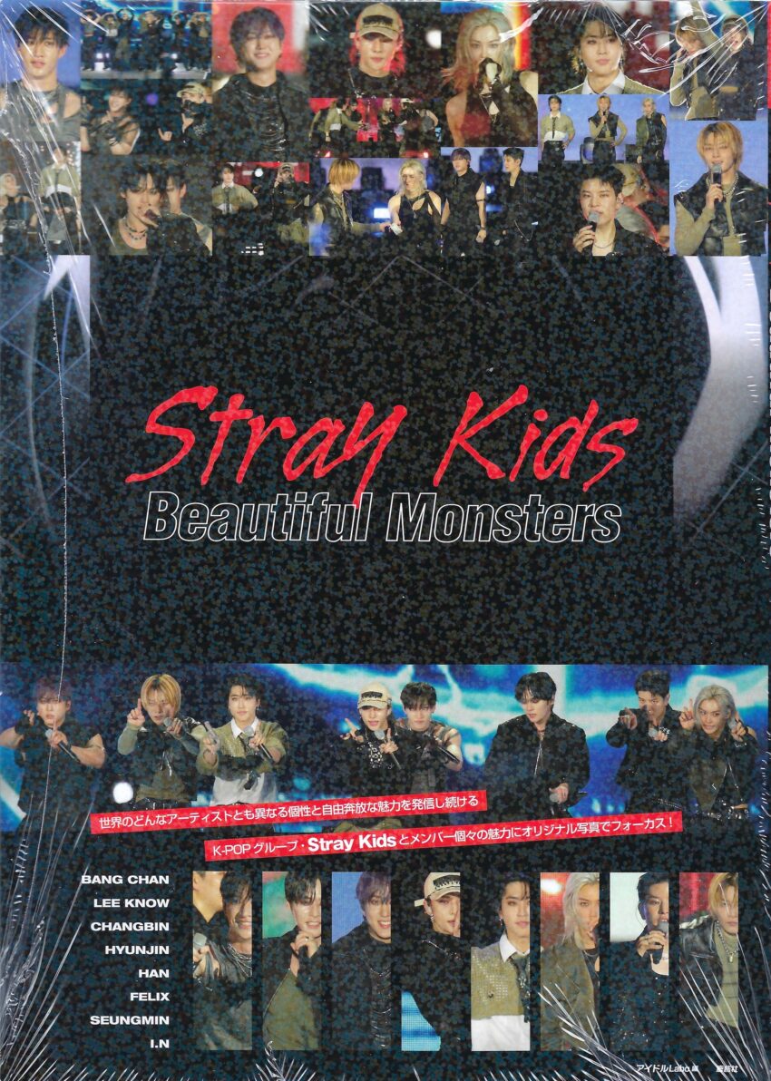 Stray Kids Photo-Report [Beautiful Monsters]