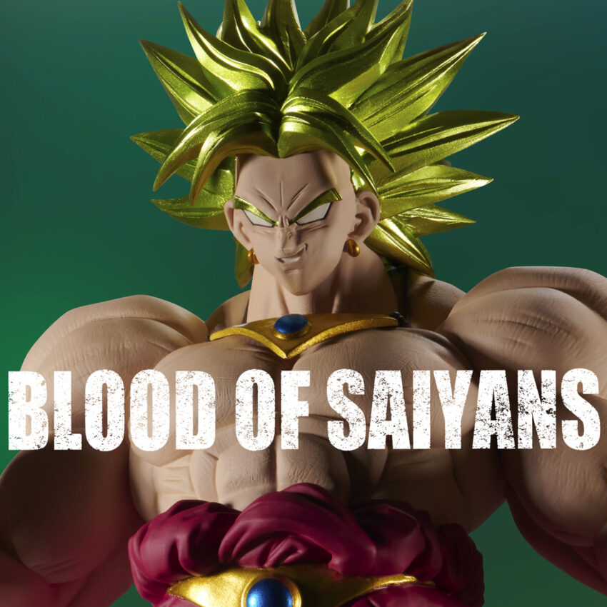 DRAGON BALL Z BLOOD OF SAIYANS SUPER SAIYAN BROLY FIGURE
