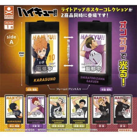 Haikyu!! "Tsunagu" Emotional Light Up Poster Collection Side A - A RANDOM CAPSULE